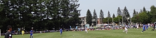 201584gp.jpg